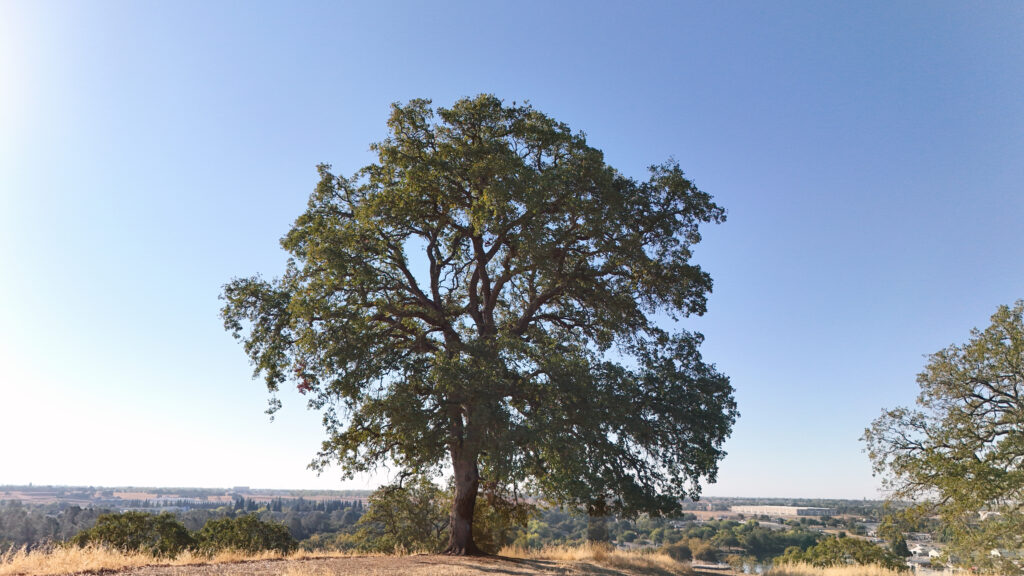 bluffs mabon09222025 20250922 0198 edit bluffs mabon09222025 20250922 0198 edit