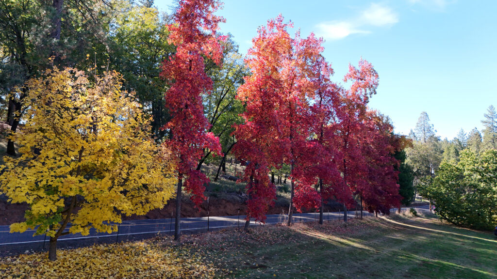smokeyridgesamhain 20251031 1080 smokeyridgesamhain 20251031 1080